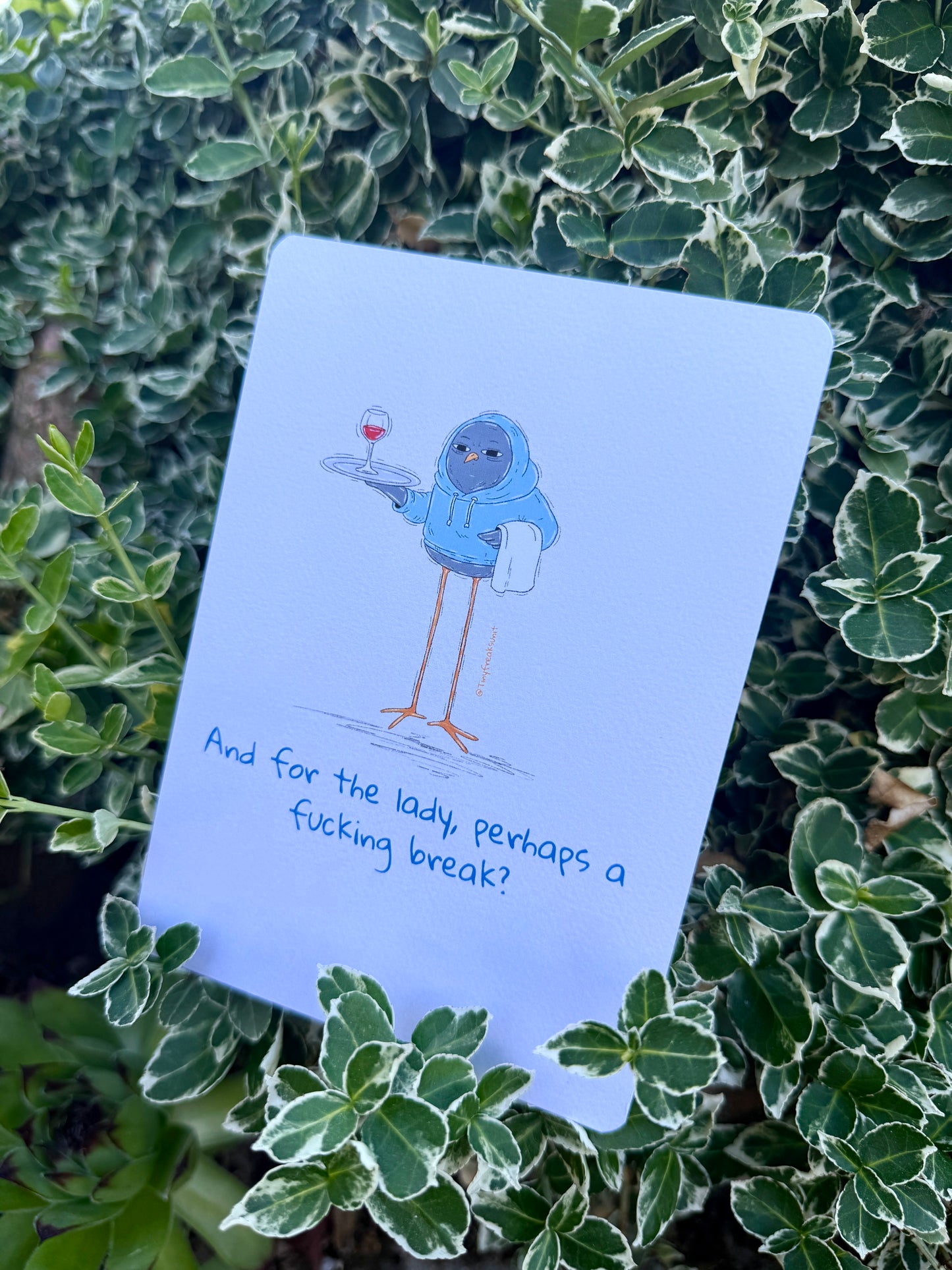 Take A Break Pack of 10 Post Cards